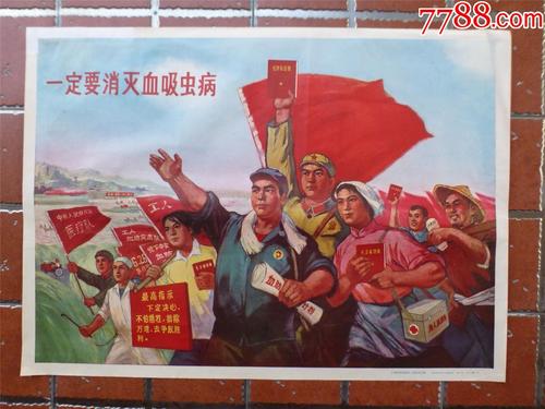 函数学位证有用吗
